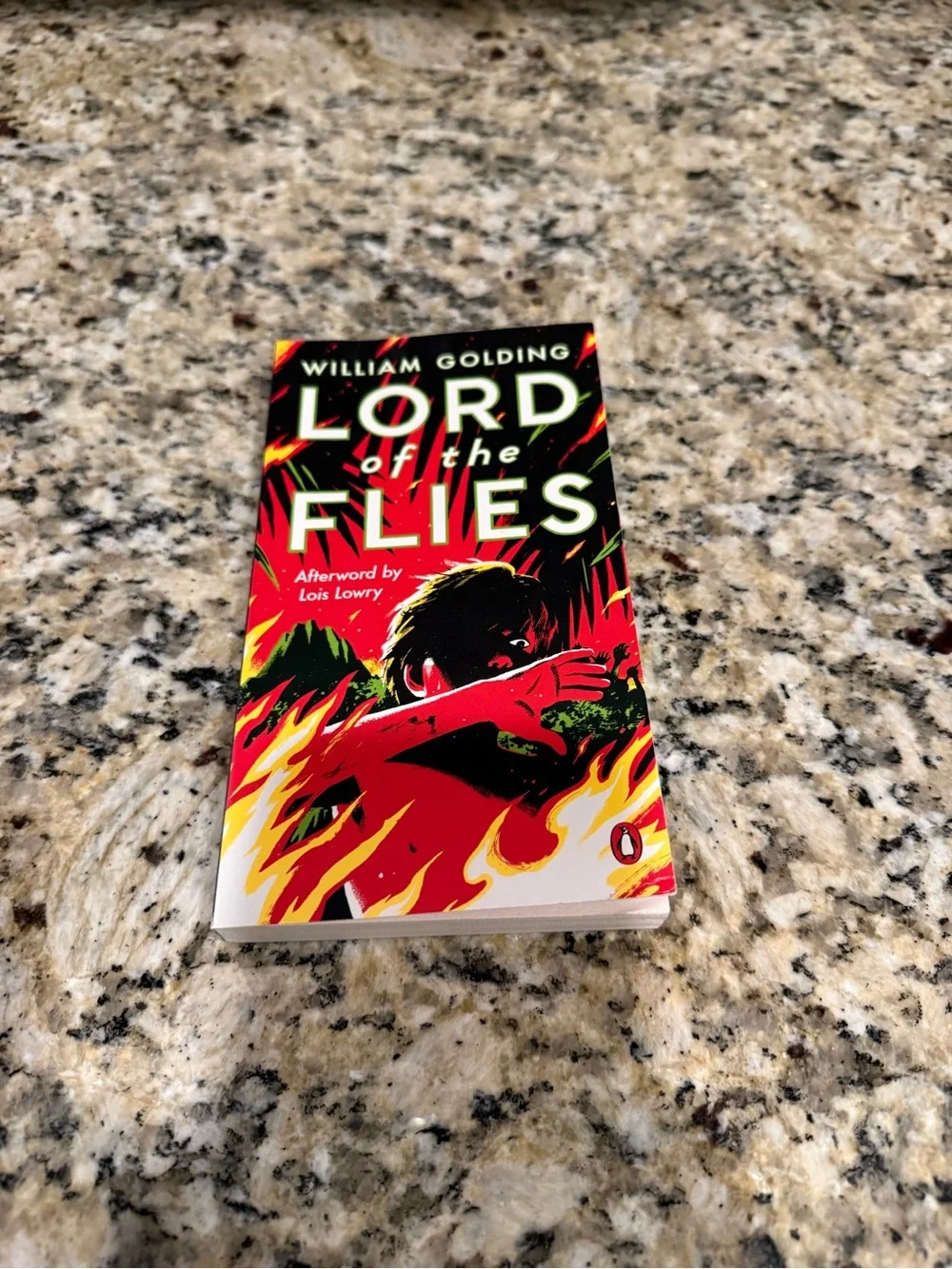Lord of the Flies Paperback — Red, Black, Yellow Cover